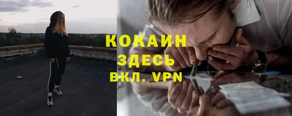 прущие грибы Зеленодольск