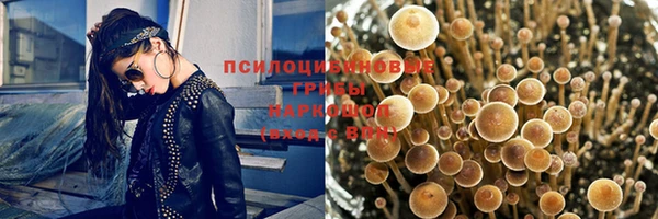 прущие грибы Зеленодольск