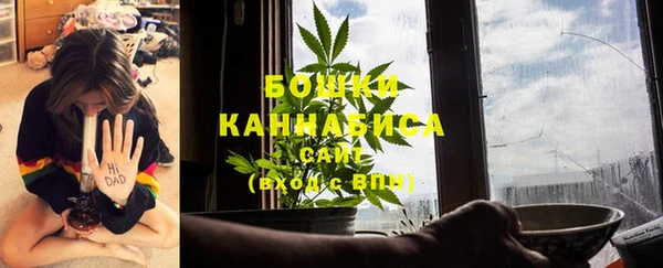 шишки Зерноград